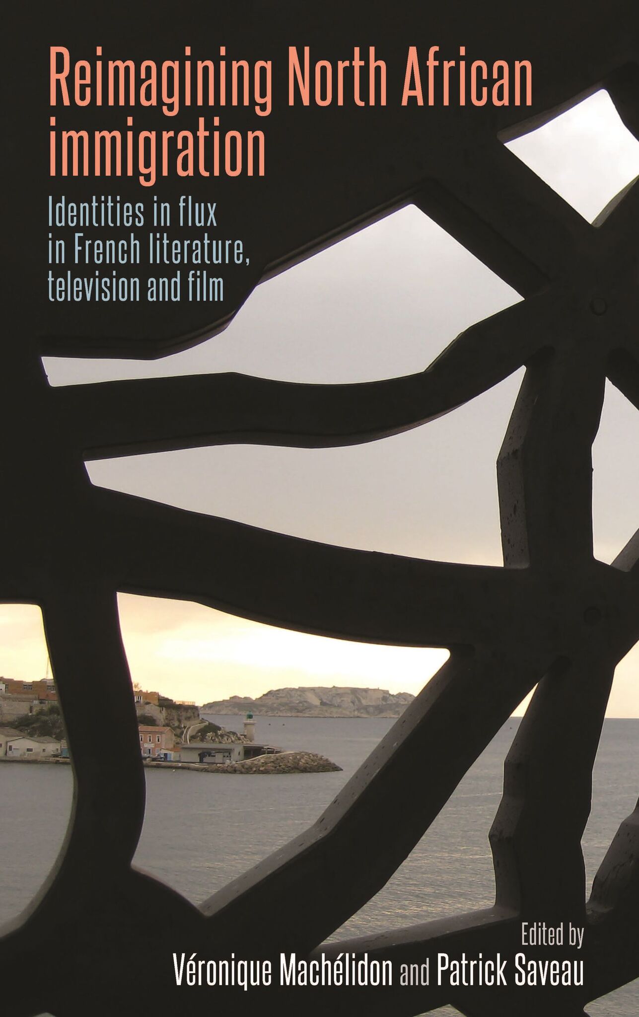 Cover image for Reimagining North African immigration ISBN 9780719099489